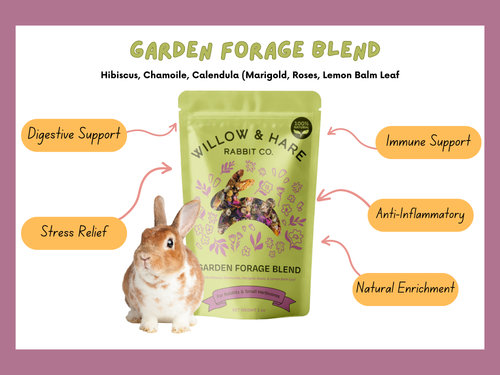 4-Pack Bunny Forage Mix Treat Collection Variety Pack