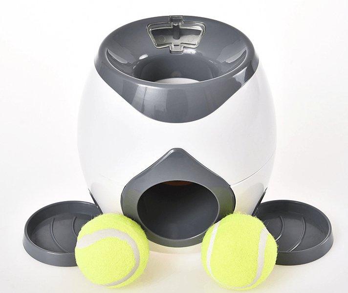 Automatic Pet Training & Feeding System