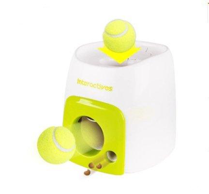 Automatic Pet Training & Feeding System