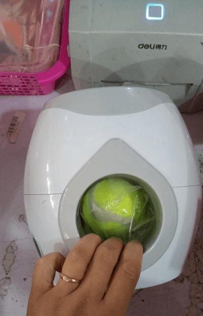 Automatic Pet Training & Feeding System