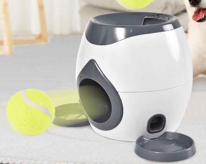 Automatic Pet Training & Feeding System