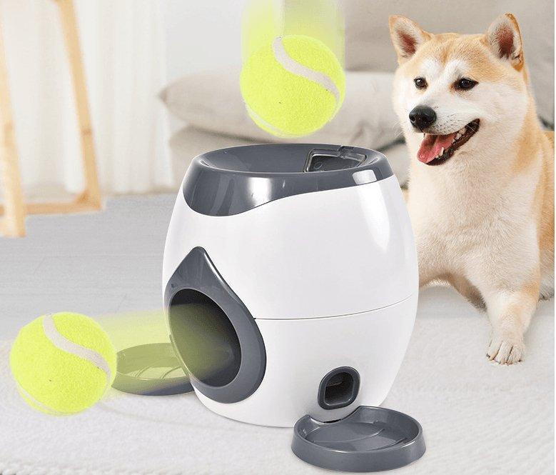 Automatic Pet Training & Feeding System